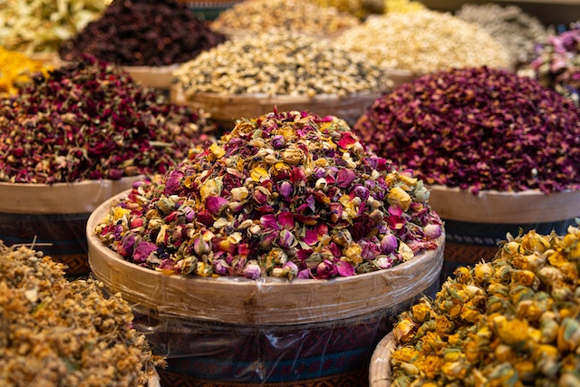 Discover the Power of Nature: The 10 Most Healing Herbs for Optimal Well-being